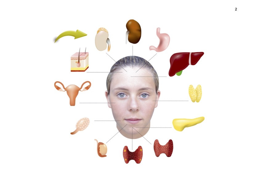 Picture of a face with organs pictured around corresponding to their reflexology position